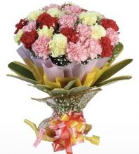 18 Mixed Carnations in a bouquet 18 Mixed Carnations in a bouquet