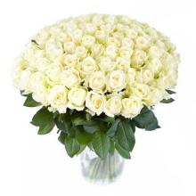 100 white roses vase