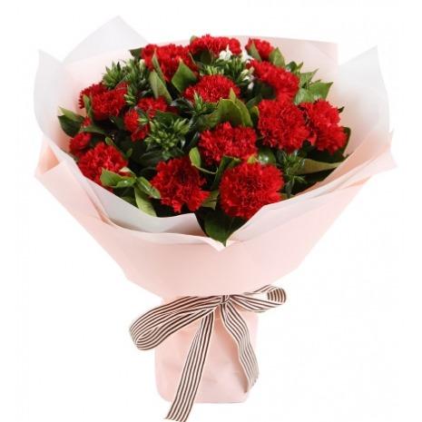 18 Red Carnations Bouquet product519