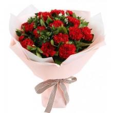 18 Red Carnations Bouquet 18 Red Carnations Bouquet